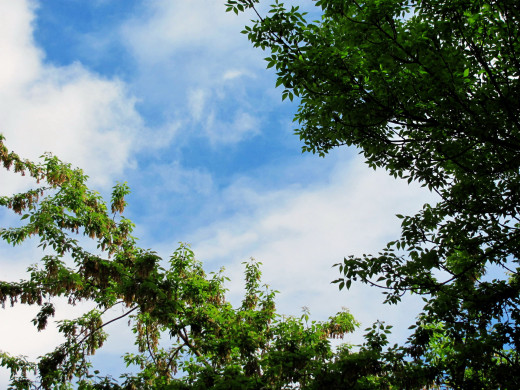 988066 (a): :1920x1440